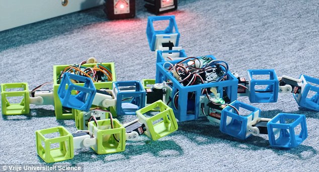 34D32B4B00000578-3620314-image-m-25_1464801322781