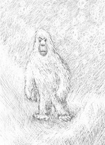 Boceto del Yeti del Himalaya (FAL)