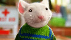 STUART LITTLE 2