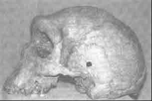 disparos-en-la-prehistoria-1.jpg