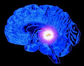 La glandula pineal