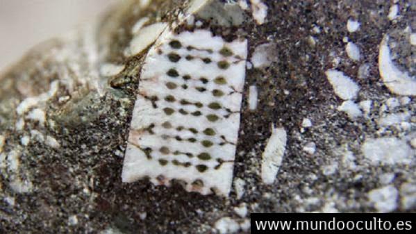Hallan en Rusia un 'microchip' de 250 millones de años