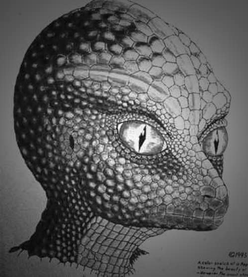 El  reptiliano que se vio en Valencia en 1968