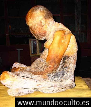 Imágenes demuestran cómo un lama resucita 89 años después de su muerte