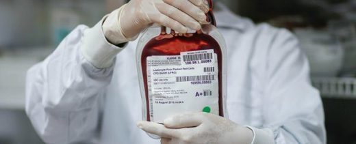 Crean células madre inmortales que generan ilimitados glóbulos rojos