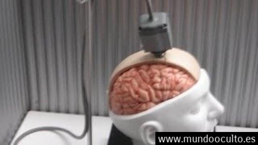 Cientificos muestran las formas descubiertas para ser inmortal Cientificos muestran las formas descubiertas para ser inmortal
