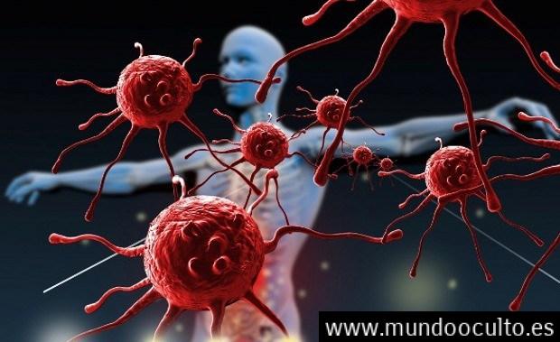 Cientificos muestran las formas descubiertas para ser inmortal Cientificos muestran las formas descubiertas para ser inmortal