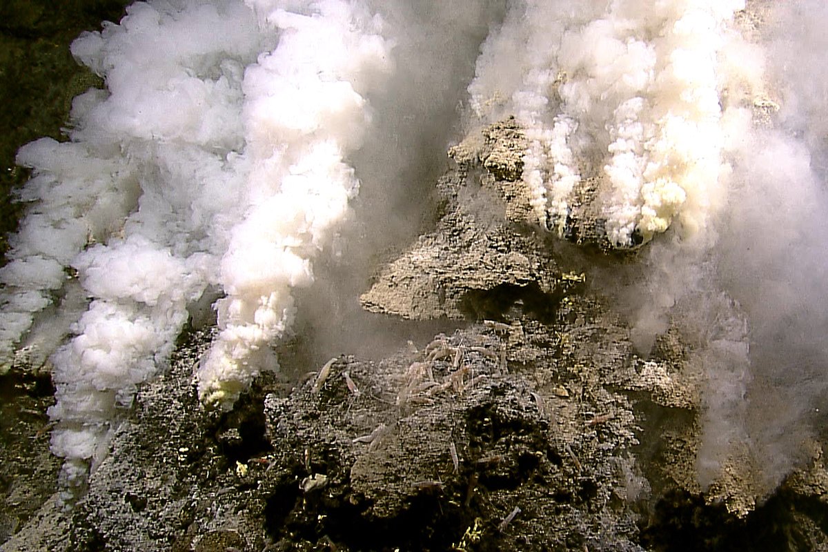 Nuevo estudio encuentra evidencia sobre los orígenes de la vida en la Tierra