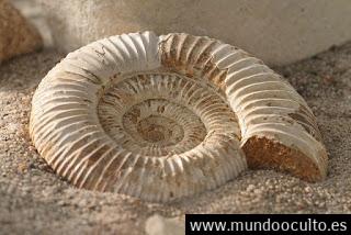 De la mitología hindú al catastrofismo científico De la mitología hindú al catastrofismo científico