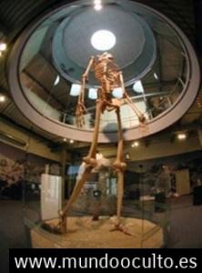 El misterio de los GIGANTES DE 7 METROS REALES de Ecuador expuestos en Mystery Park en suiza El misterio de los GIGANTES DE 7 METROS REALES de Ecuador expuestos en Mystery Park en suiza