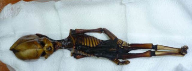 Esqueletos y calaveras extraterrestres reales en Perú, Discovery Max.