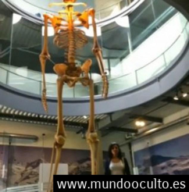 El misterio de los GIGANTES DE 7 METROS REALES de Ecuador expuestos en Mystery Park en suiza El misterio de los GIGANTES DE 7 METROS REALES de Ecuador expuestos en Mystery Park en suiza