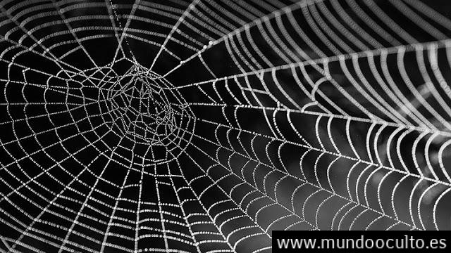 Los soldados de EE.UU. se blindarán con una armadura de telaraña Los soldados de EE.UU. se blindarán con una armadura de telaraña