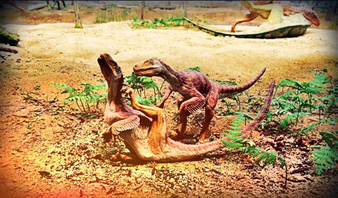 Dinosaurios cubiertos de plumas (Legendz Collective)