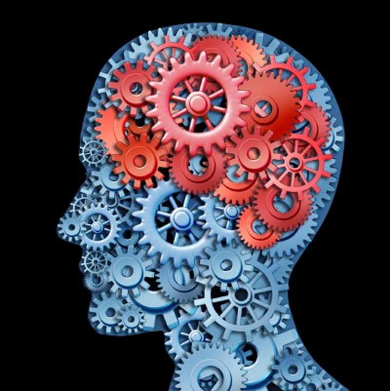 Los cerebros emocionales son físicamente distintos de los racionales.