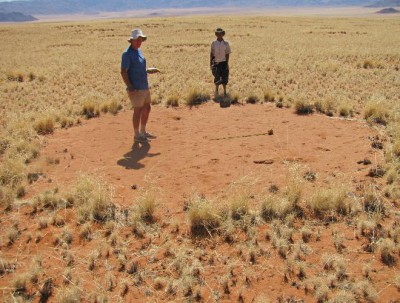 Los misteriosos círculos en Namibia