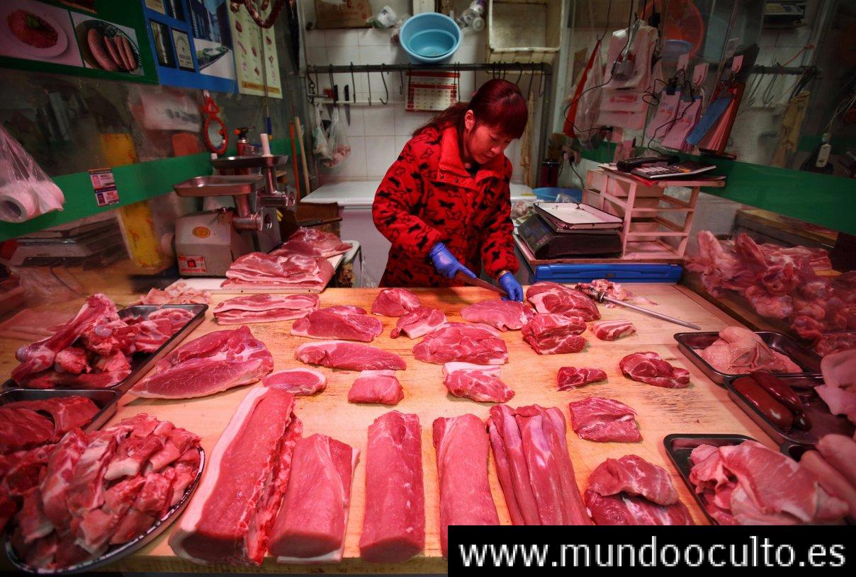“Comer carne clonada y sus consecuencias: La parálisis y parkinson”. “Comer carne clonada y sus consecuencias: La parálisis y parkinson”.