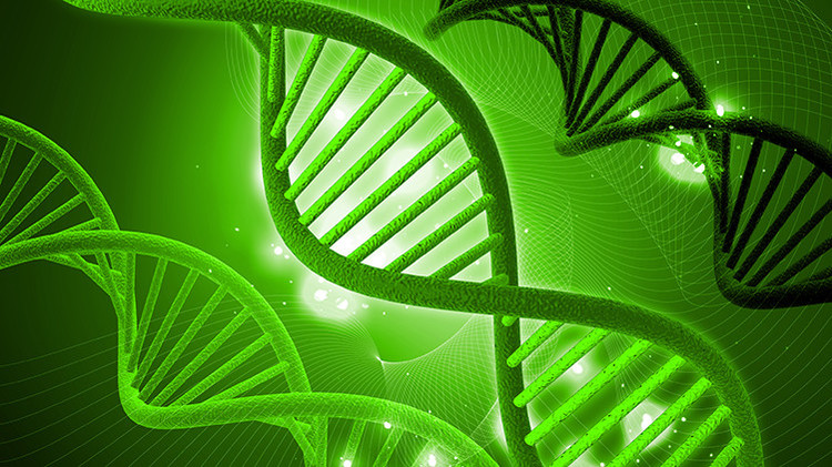 En nuestro cuerpo podría haber ADN "atrapado" de otros seres humanos