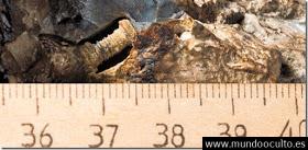 ¿Qué es el Artefacto IMPOSIBLE que Encontraron Dentro de un Meteorito?