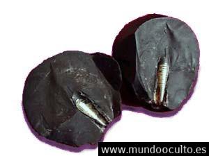 ¿Qué es el Artefacto IMPOSIBLE que Encontraron Dentro de un Meteorito? ¿Qué es el Artefacto IMPOSIBLE que Encontraron Dentro de un Meteorito?