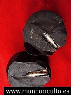 ¿Qué es el Artefacto IMPOSIBLE que Encontraron Dentro de un Meteorito?