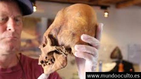 Los #craneos de #paracas: El analisis de ADN indica que no son humanos Los #craneos de #paracas: El analisis de ADN indica que no son humanos