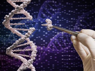 Nueva y eficiente versión del editor de genes CRISPR