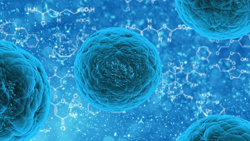 Científicos descubren un nuevo método para rejuvenecer las células humanas