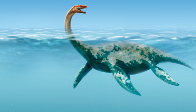 Dinosaurios y su extinción por los humanos