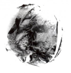 ¿Sabías que la última imagen que registran tus ojos antes de morir se queda impresa en tu retina? ¿Sabías que la última imagen que registran tus ojos antes de morir se queda impresa en tu retina?