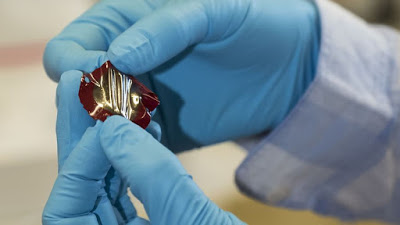 Nuevo material podría obtener electricidad del cuerpo humano