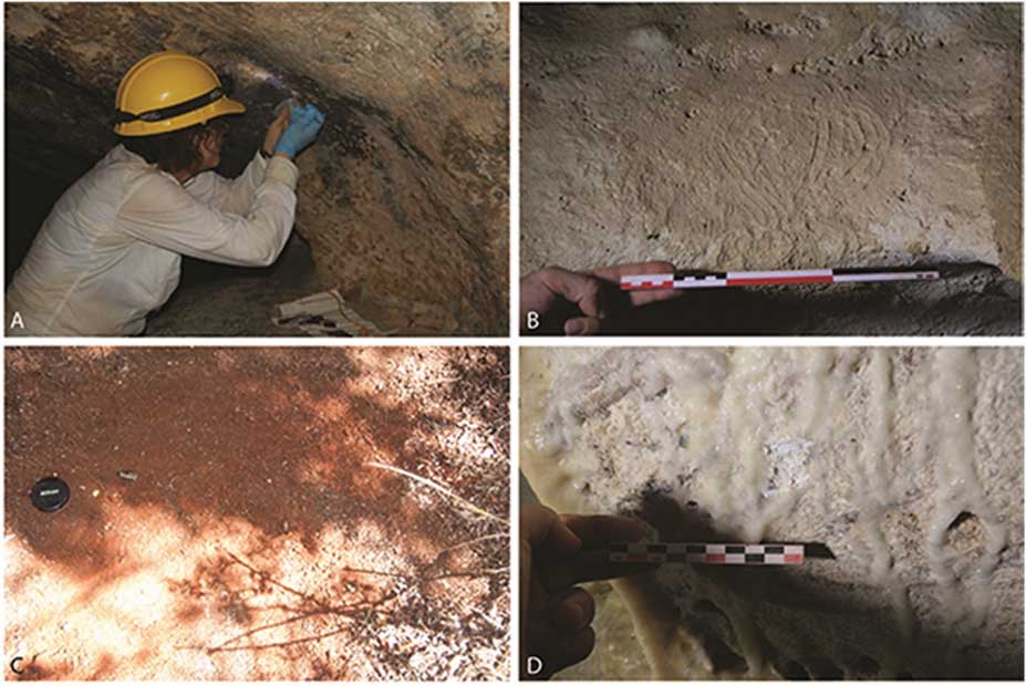 Arte rupestre en la oscuridad: salen a la luz miles de pinturas indígenas precolombinas en Puerto Rico