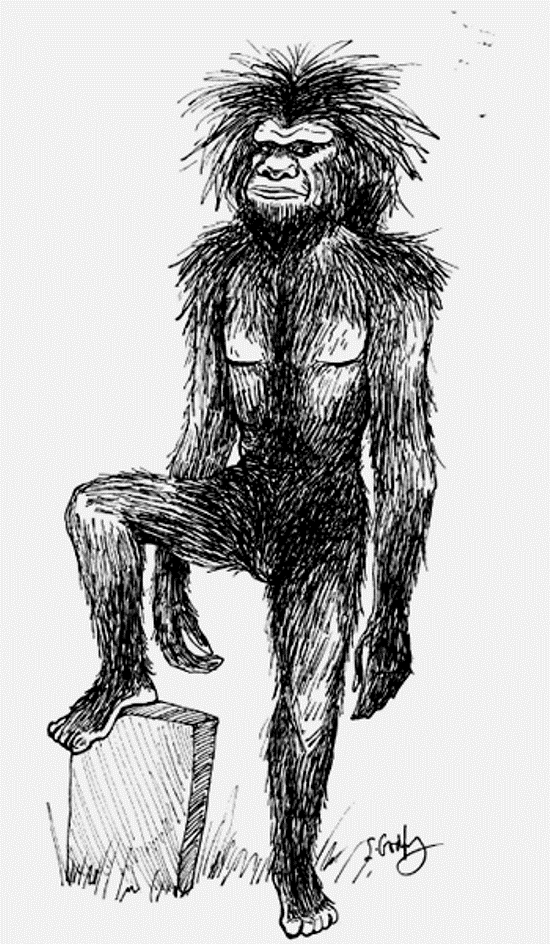 Bigfoot”: Entre Eslabones Perdidos, Extraterrestres Y Entes Sobrenaturales