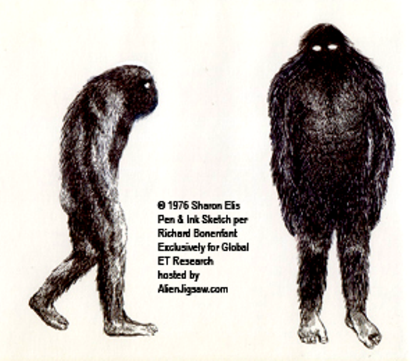 Bigfoot”: Entre Eslabones Perdidos, Extraterrestres Y Entes Sobrenaturales