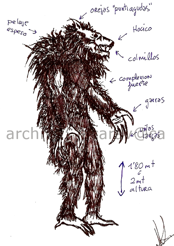 Bigfoot”: Entre Eslabones Perdidos, Extraterrestres Y Entes Sobrenaturales