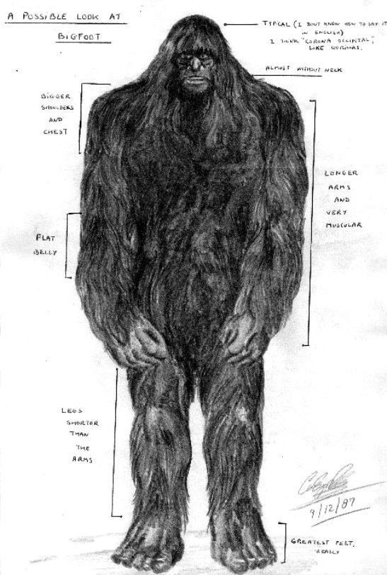 Bigfoot”: Entre Eslabones Perdidos, Extraterrestres Y Entes Sobrenaturales