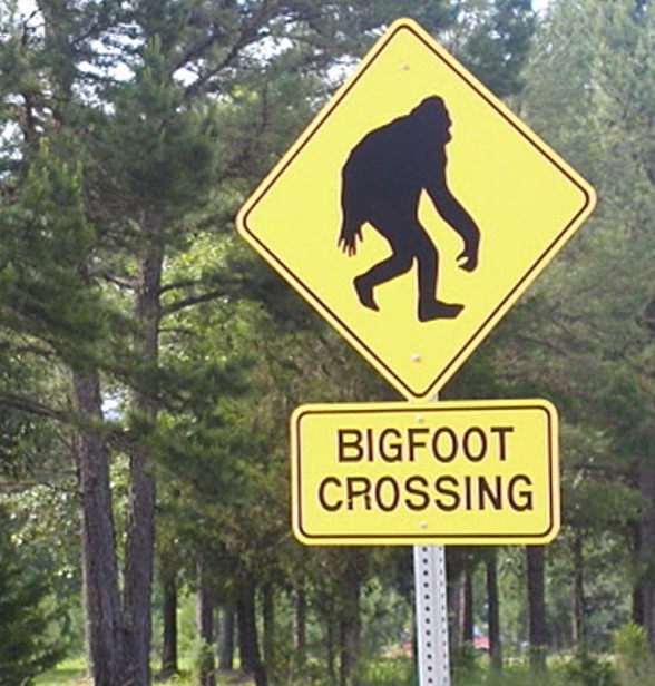 Bigfoot”: Entre Eslabones Perdidos, Extraterrestres Y Entes Sobrenaturales
