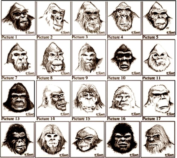 Bigfoot”: Entre Eslabones Perdidos, Extraterrestres Y Entes Sobrenaturales