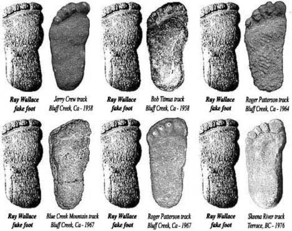 Bigfoot”: Entre Eslabones Perdidos, Extraterrestres Y Entes Sobrenaturales