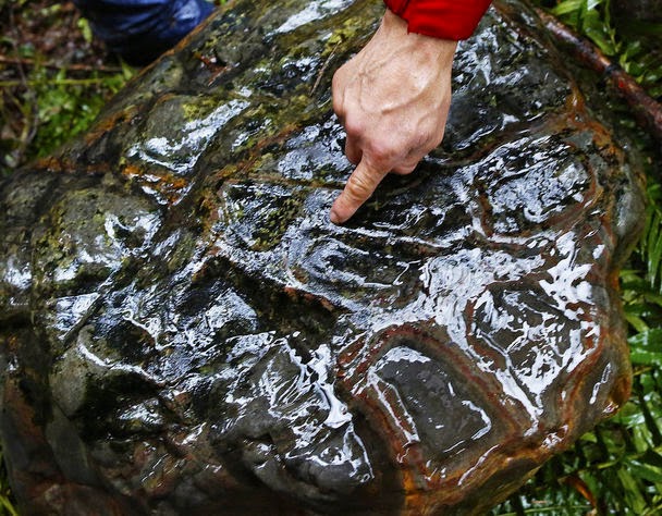 Petroglifo con representaciones mitológicas de la cultura Quileute hallado en Washington