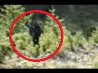 Mande Burung, el Yeti Indio