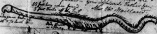 La bestia de Stronsay, 1808. La bestia de Stronsay, 1808.