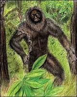 Mande Burung, el Yeti Indio