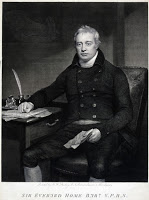 La bestia de Stronsay, 1808. La bestia de Stronsay, 1808.