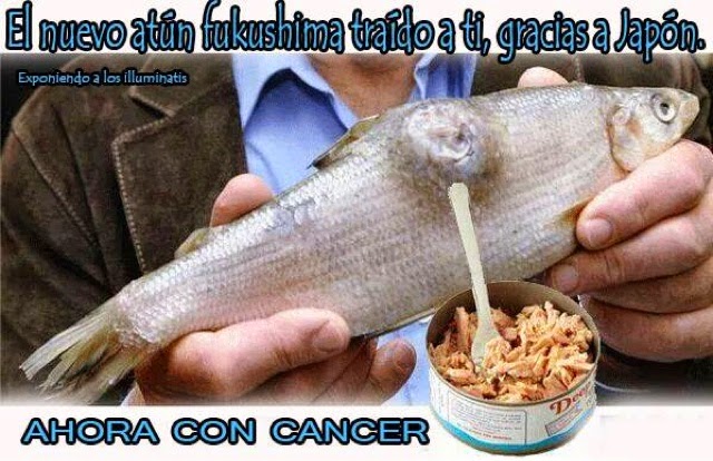 atun con cancer gracias a fukushima atun con cancer gracias a fukushima