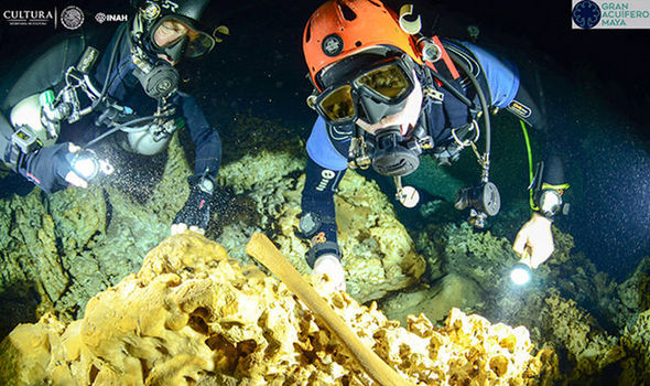 Hallado en México un microchip de 9000 años Hallado en México un microchip de 9000 años