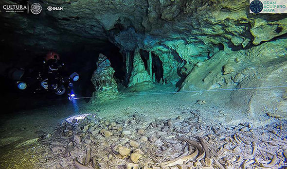 Hallado en México un microchip de 9000 años Hallado en México un microchip de 9000 años