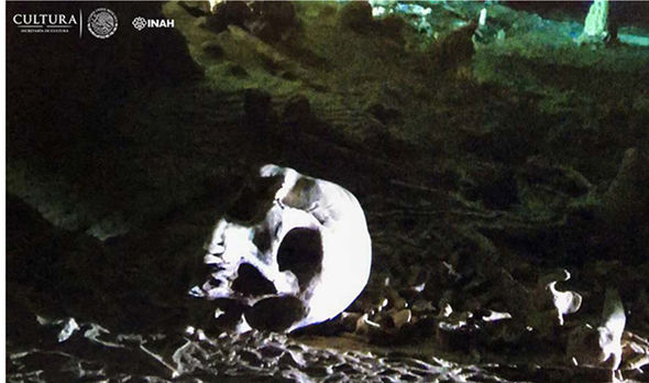Hallado en México un microchip de 9000 años Hallado en México un microchip de 9000 años