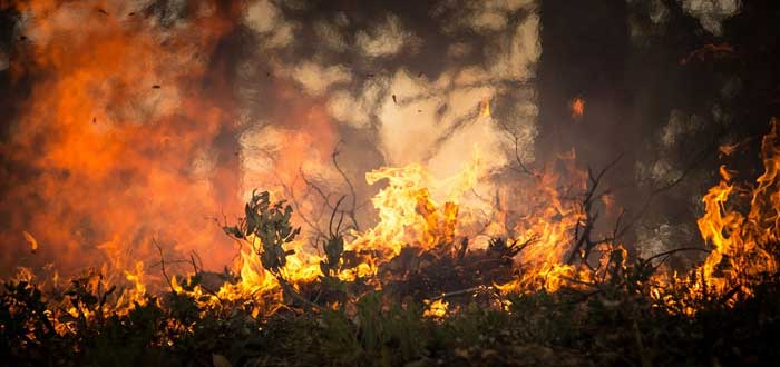 La tormenta de fuego que hace 12.800 años arrasó parte de la Tierra La tormenta de fuego que hace 12.800 años arrasó parte de la Tierra
