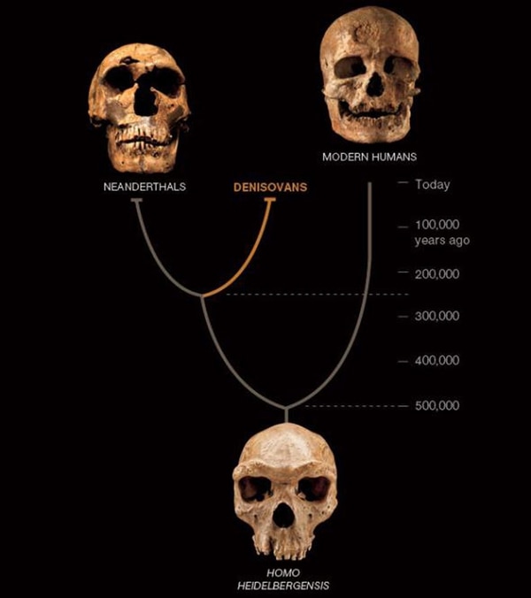¿Existieron los gigantes?: todas las respuestas de la arqueología, los mitos y la literatura